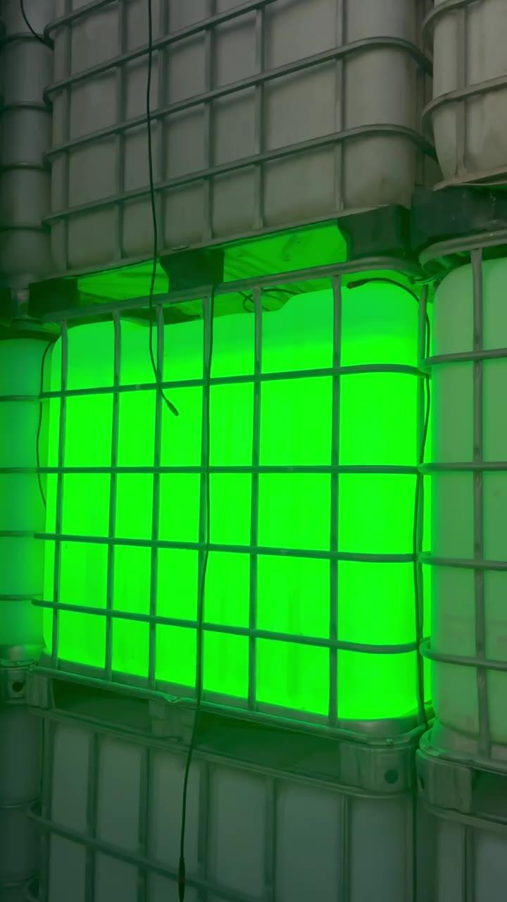 One tank lit from inside